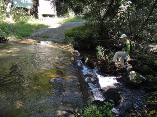 玖珠の万年山（大分県玖珠町）_d0182075_4243692.jpg