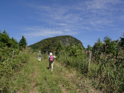 玖珠の万年山（大分県玖珠町）_d0182075_4323459.jpg