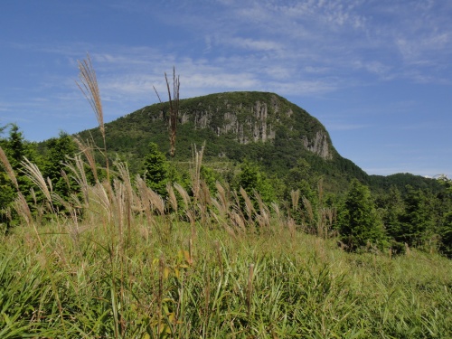 玖珠の万年山（大分県玖珠町）_d0182075_4324374.jpg