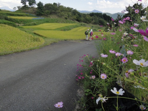 玖珠の万年山（大分県玖珠町）_d0182075_4423244.jpg