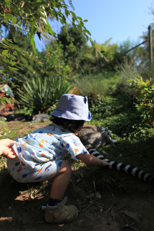 c0187779_3444141.jpg
