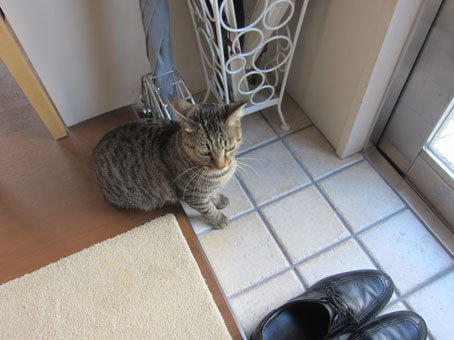 句集 変哲 Amazon.co.jp: 桜井哲夫詩集 (新・日本現代詩文庫) : 桜井 哲夫: 本