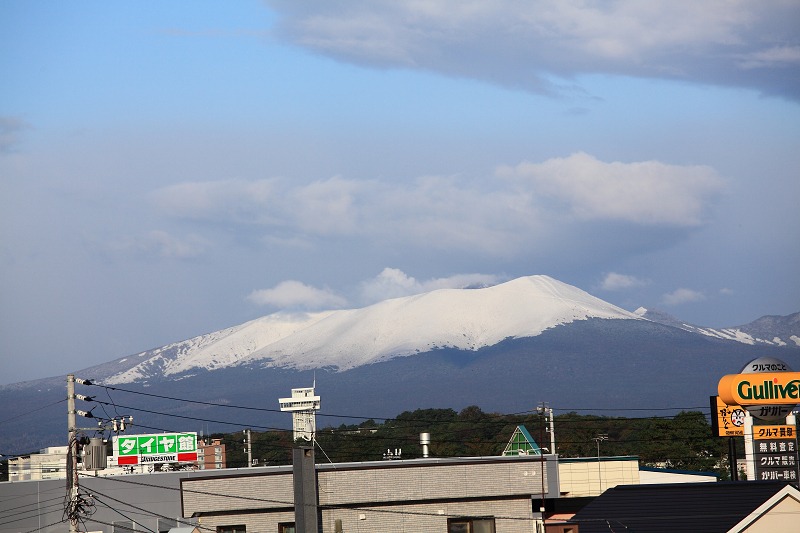 a0160581_77341.jpg