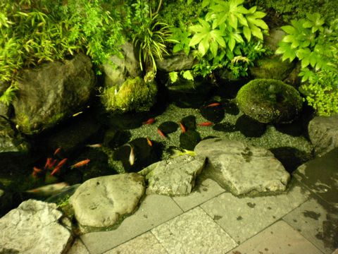 真夏の列島横断旅2 (ムーンライトながら/東北本線/ほか)_b0005281_18481614.jpg