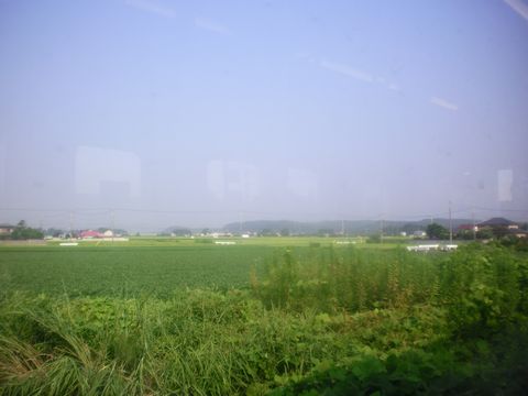 真夏の列島横断旅2 (ムーンライトながら/東北本線/ほか)_b0005281_18515489.jpg