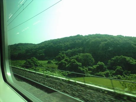 真夏の列島横断旅2 (ムーンライトながら/東北本線/ほか)_b0005281_18522753.jpg