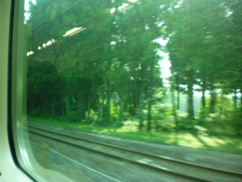 真夏の列島横断旅2 (ムーンライトながら/東北本線/ほか)_b0005281_18523582.jpg