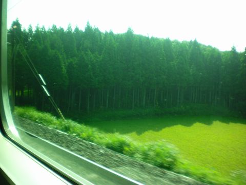 真夏の列島横断旅2 (ムーンライトながら/東北本線/ほか)_b0005281_18524428.jpg