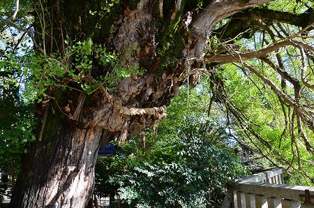 一言主神社（ひとことぬしじんじゃ）_c0229483_2238037.jpg