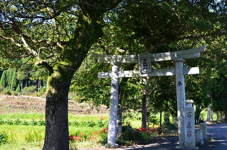 一言主神社（ひとことぬしじんじゃ）_c0229483_22383981.jpg