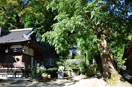 一言主神社（ひとことぬしじんじゃ）_c0229483_225223.jpg