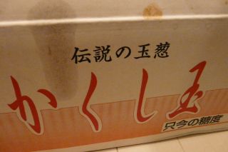 2011年10月3日 埋もれている。。_b0098584_17225529.jpg