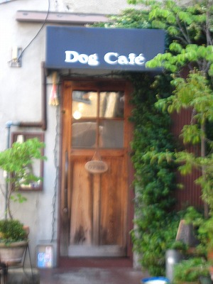 京都の夜1 「京都ネーゼ」_d0133485_21474055.jpg