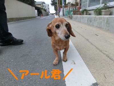 寒い朝だった_e0222588_16114395.jpg