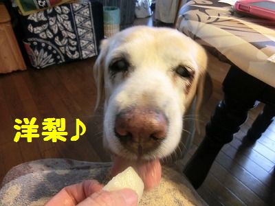 寒い朝だった_e0222588_16144361.jpg