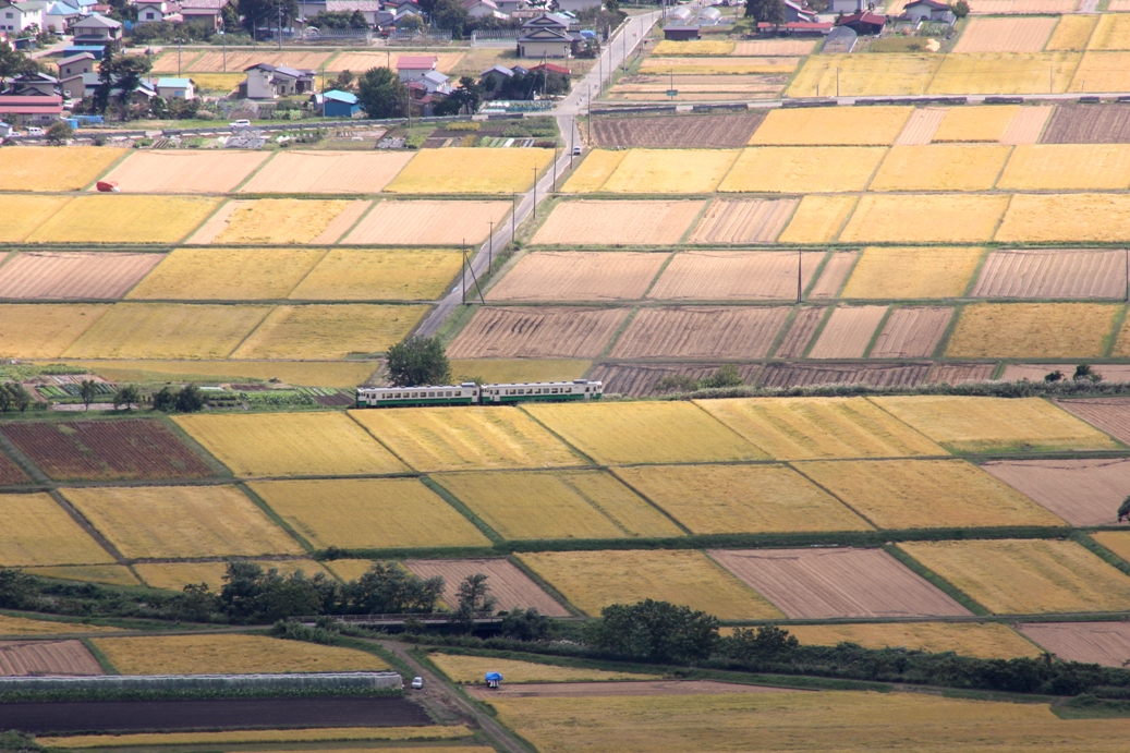 f0174989_1610569.jpg