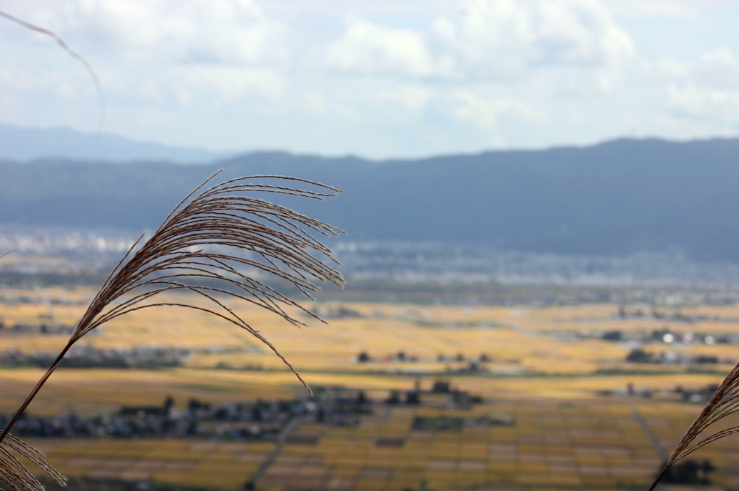 f0174989_1612830.jpg