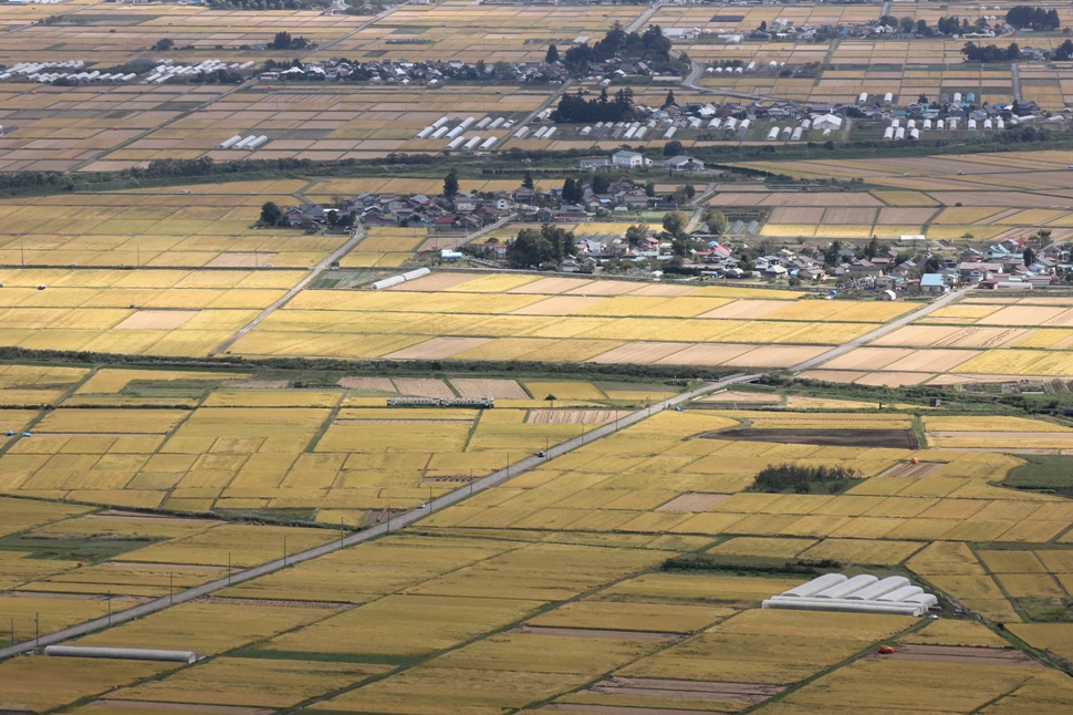 f0174989_1693091.jpg