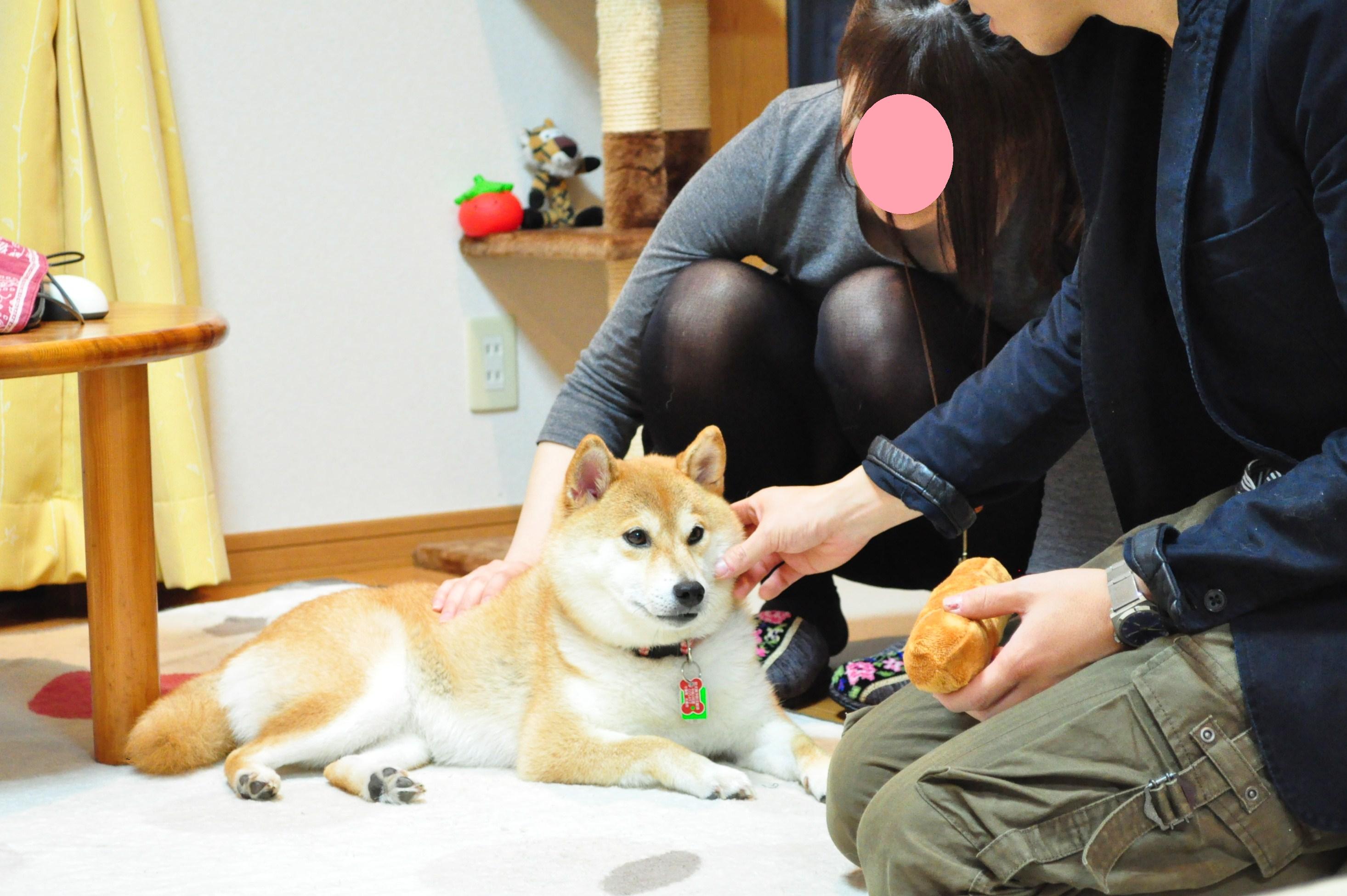 感動のプレゼント②_a0126590_2152041.jpg