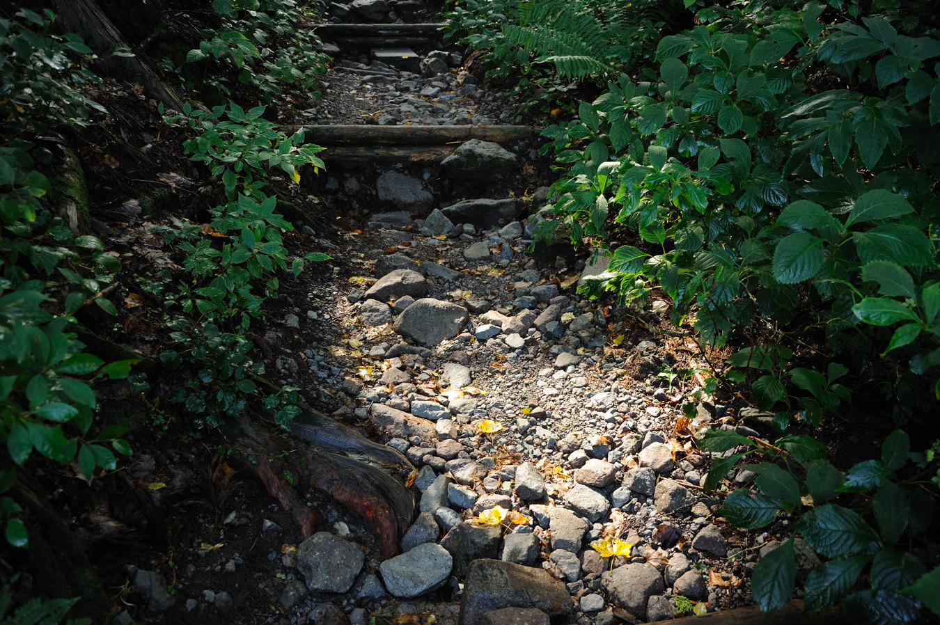c0138991_2261774.jpg