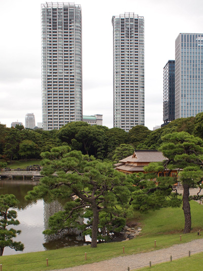 浜離宮恩賜庭園と曼珠沙華_d0143891_17521610.jpg