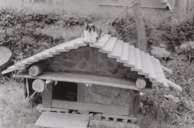 b0171193_1915197.jpg