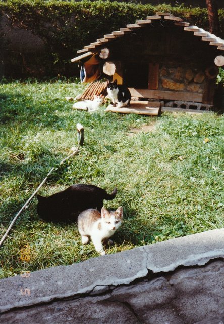 b0171193_1941237.jpg