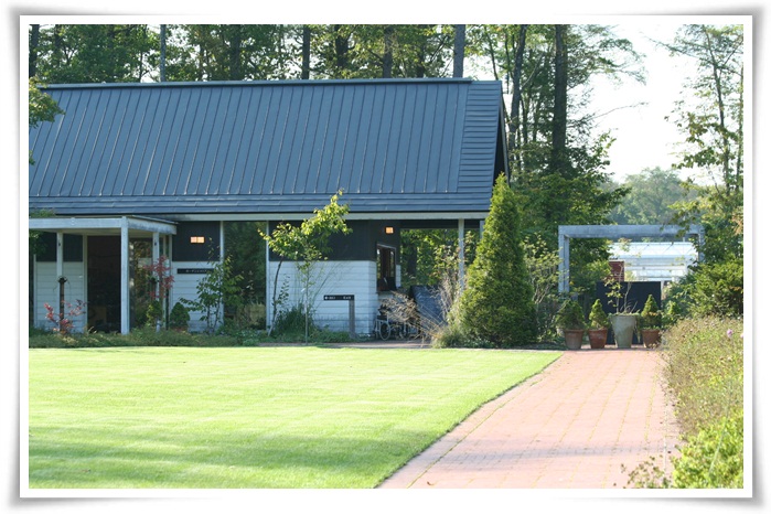 f0146493_22472972.jpg