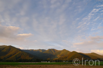 c0173794_04590.jpg