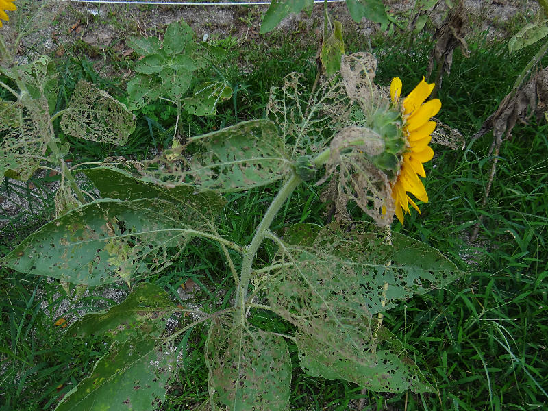 f0204094_2216458.jpg