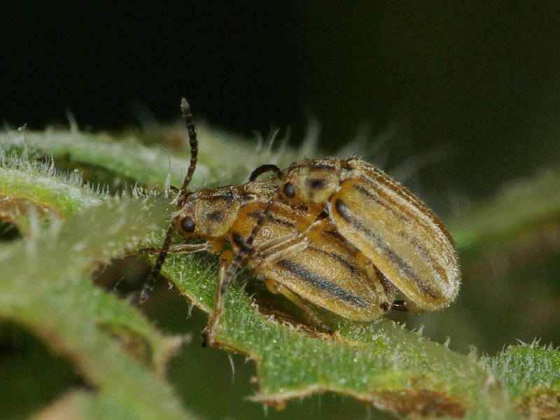 f0204094_2217364.jpg
