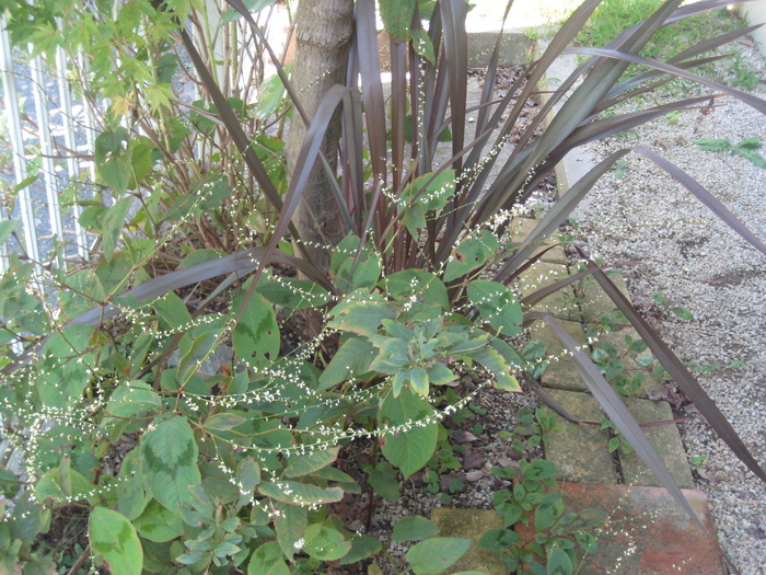 a0233896_23143177.jpg