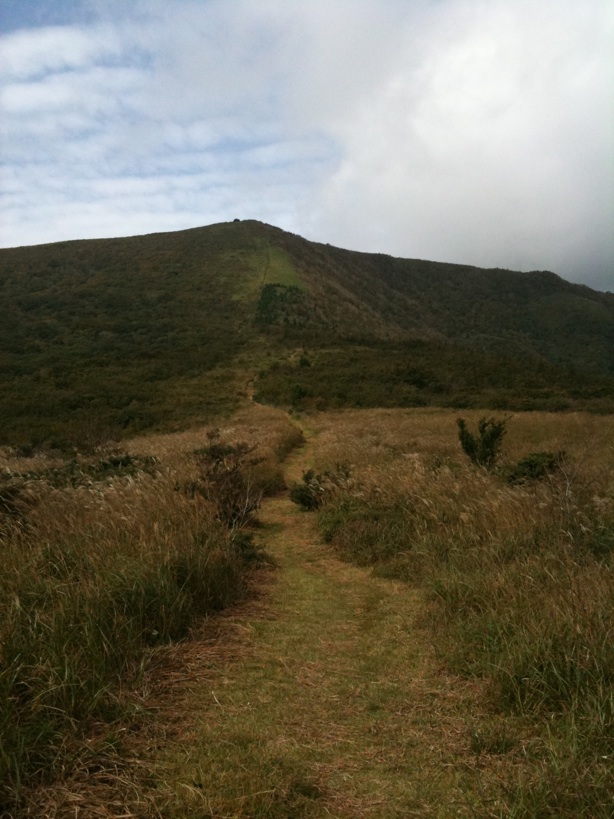 d0242696_23554569.jpg