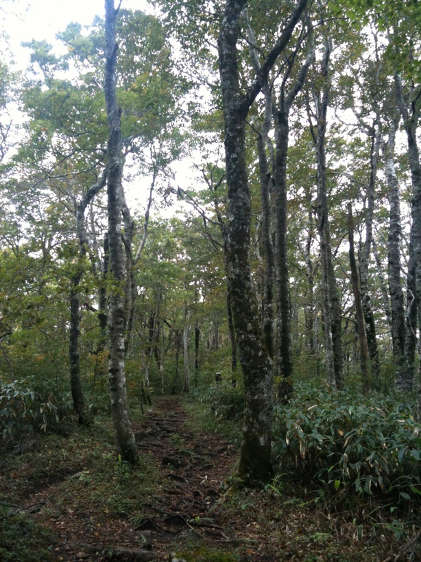 d0242696_23555690.jpg