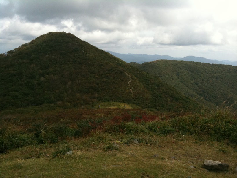 d0242696_23555888.jpg