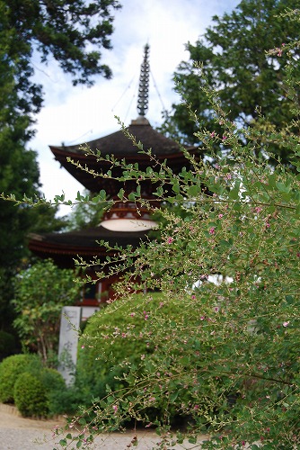 c0124100_0144613.jpg