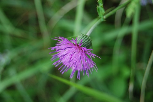 c0124100_0162030.jpg