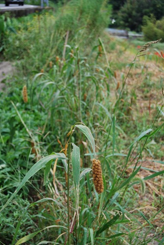 c0124100_016517.jpg