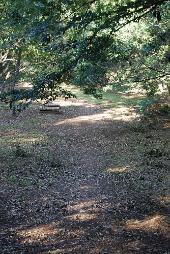 c0124100_23293355.jpg