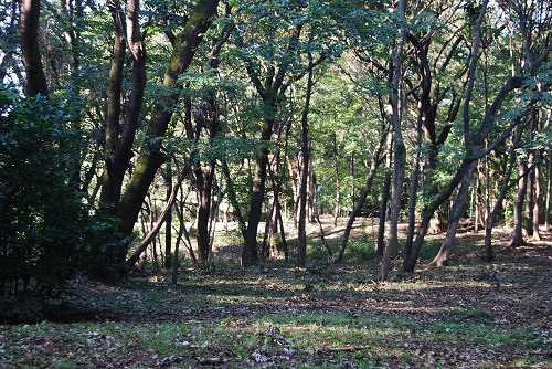 c0124100_2329469.jpg