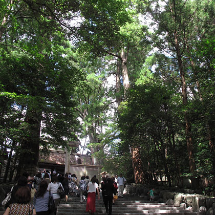 b0153002_2236131.jpg