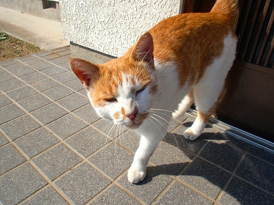 f0193702_1948183.jpg