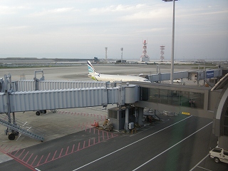 b0212305_184996.jpg