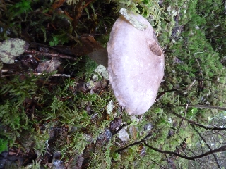 d0143907_4283670.jpg