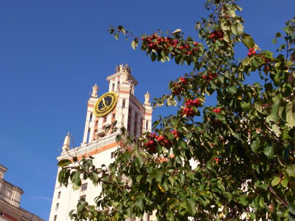 c0164709_6421838.jpg