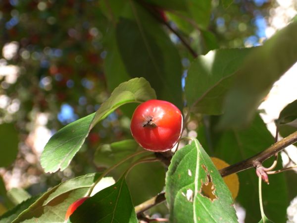 c0164709_6422345.jpg