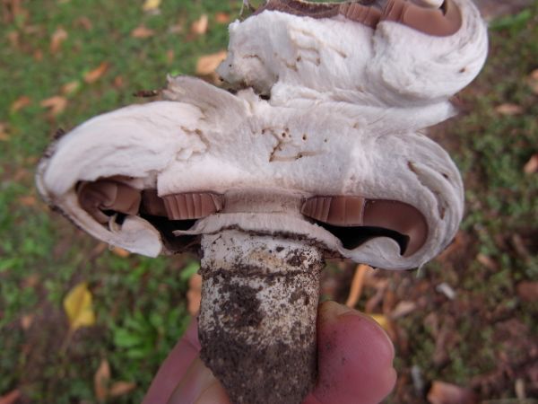 c0164709_6424192.jpg