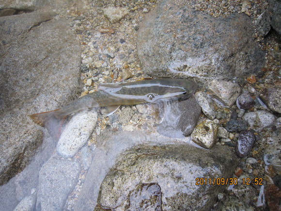 d0241509_204601.jpg