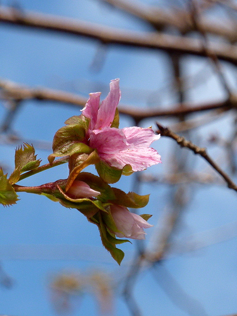 a0080610_23191339.jpg