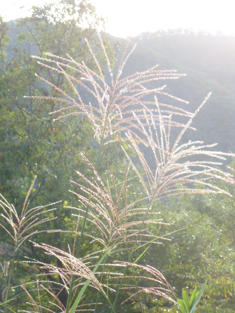 a0080610_23462429.jpg